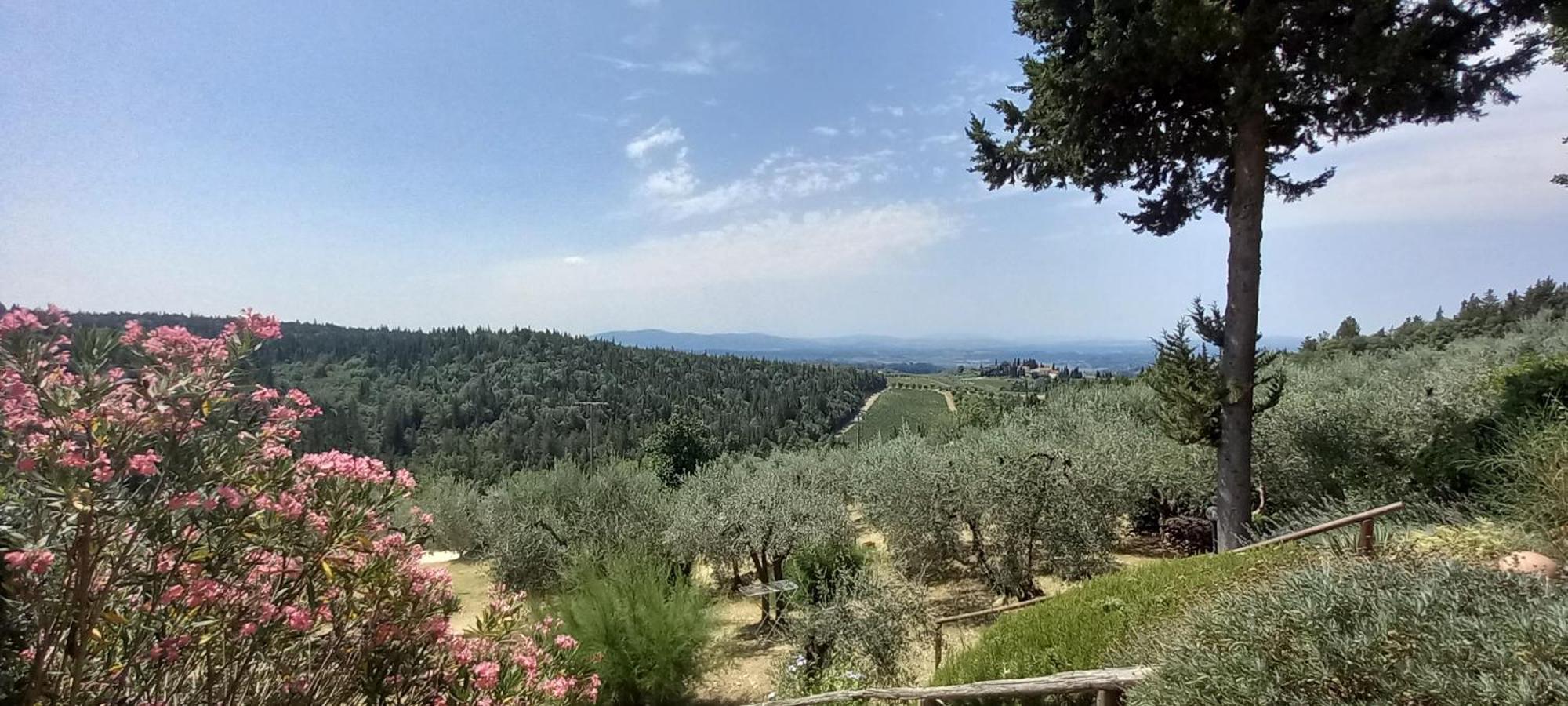 Borgo Nel Chianti Istrice Con Piscina Tennis E Wifi Castellina in Chianti Exterior photo